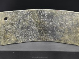 Ciudad de Elche 2022